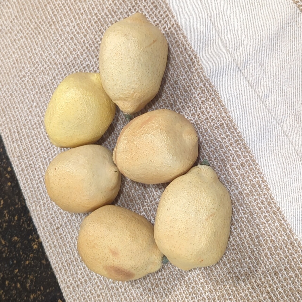 🍋 Faux Lemons